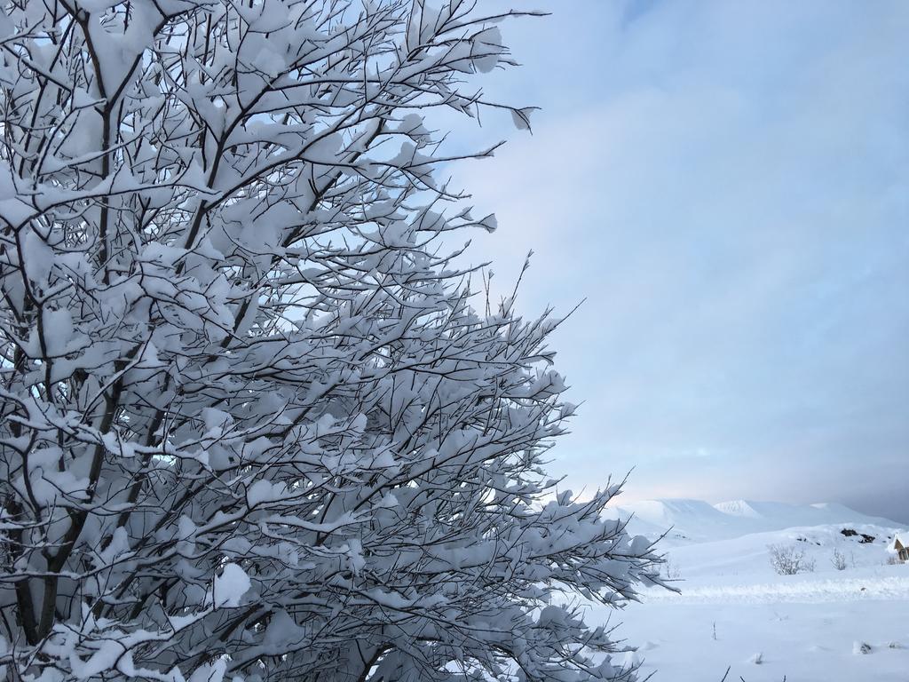 Aurora Vacation Homes Fagravik Akureyri Buitenkant foto